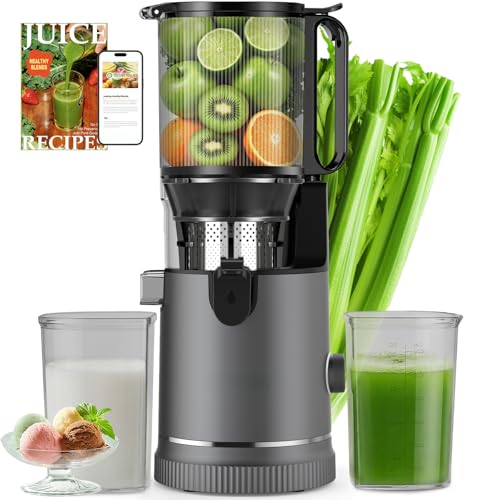 Extractor de Zumos Prensado en Frío 400W